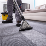 Step-by-Step Guide to Clean Your Carpets