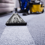 How to Dry a Wet Carpet in 5 Simple Steps
