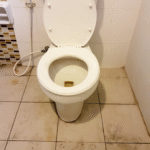 The Impact of Dirty Toilets on Your Health